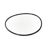 Pentair Clean & Clear 87300400Z Tank O-Ring black rubber front view