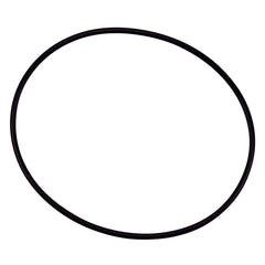 Pentair O-Ring Closure for Triton Filter, black rubber, front view