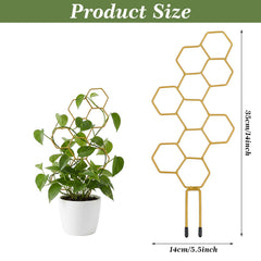 PEOVLVN Small Trellis showing honeycomb design