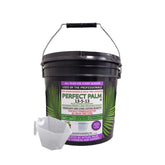 Perfect Palm Dual Action Fertilizer 7 LB pail front view