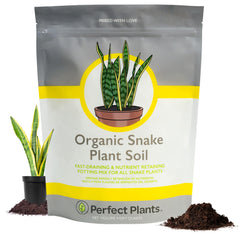 PERFECT PLANTS Snake Plant Soil 4qt bag front view