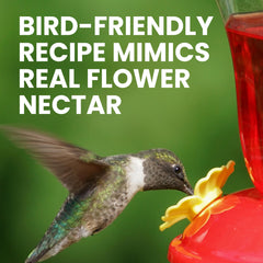 Perky-Pet Hummingbird Nectar powder in a measuring cup