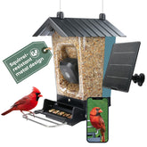 Perky-Pet Solar Powered Smart Bird Feeder with Camera, blue model front view