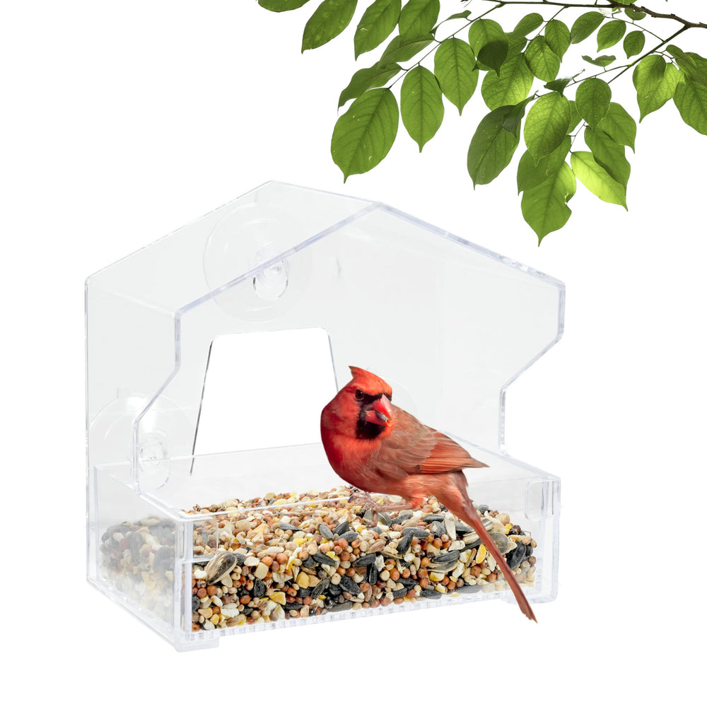 Perky-Pet Window Bird Feeder clear design front view