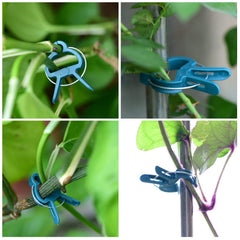 PERSZEN plant clips in use supporting tomato plants