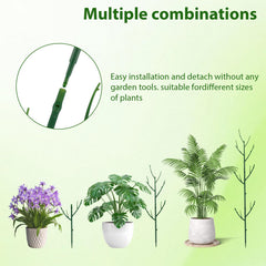 PERSZEN plant support stakes in use with climbing plants