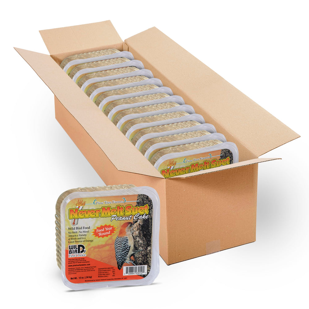 Pine Tree Farms Never Melt Peanut Suet Cake front view