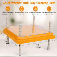 Pitalok Brooder Heater adjustable height settings with chicks