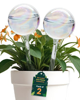 PlanKKers iridescent self watering globe large front view