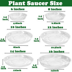 Planterhoma plant saucer used under a flower pot