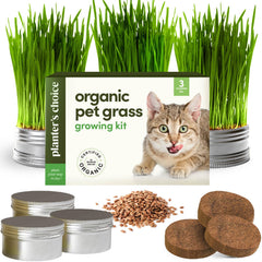 Planters' Choice Cat Grass Kit packaging with all contents visible