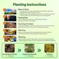 Planting instructions for Billy Button Craspedia Seeds