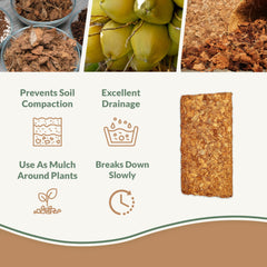 plantonix Coco Chips 650gm brick side view