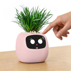 PLANTSIO Ivy AI Desk Companion pink indoor planter front view