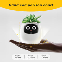 PLANTSIO Smart Pet Planter showing automatic watering feature