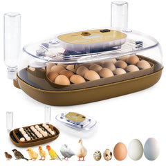 Ploomi 24 Eggs Incubator front view with LCD display