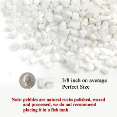 Polished white pebbles close-up showing smooth texture