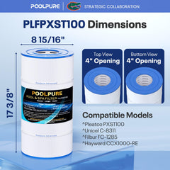 POOLPURE PXST100 Pool Filter, top view