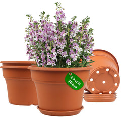 Pottiffe 10 inch terracotta planter pot front view