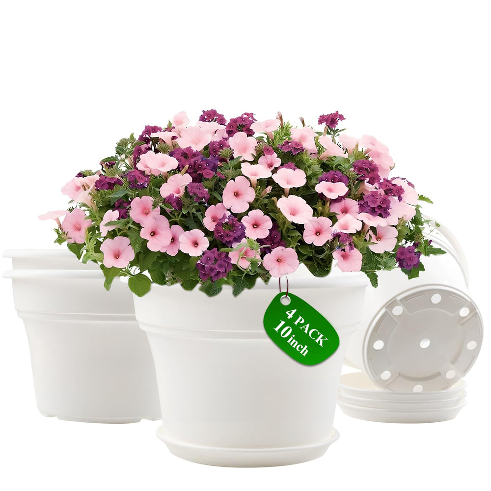 Pottiffe 10 inch white planter front view with saucer
