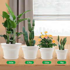 Pottiffe 16 inch white plant pot with saucer