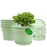 Pottiffe 6 inch green plant pot front view
