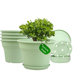 Pottiffe 6 inch green plant pot front view