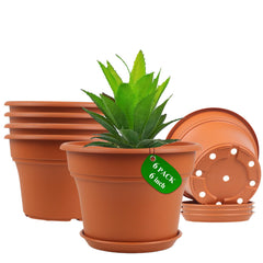 Pottiffe 6 inch terracotta plant pot front view