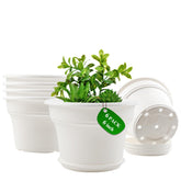 Pottiffe 6 inch white plant pot with matching saucer