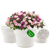 Pottiffe 8 inch white plant pot front view with saucer