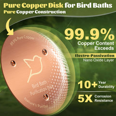 POUMEE 0.6mm Copper Disk in a birdbath filled with water