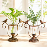 POXOHO 2 Pack Desktop Plant Propagation Terrarium with bronze and gold vases