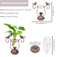 POXOHO terrarium displaying an aquatic plant arrangement