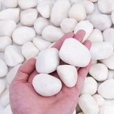 Pulovin 5 lbs white river rocks in a decorative garden setting