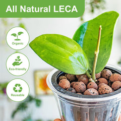 Pulovin LECA clay pebbles displayed in a pot with plants