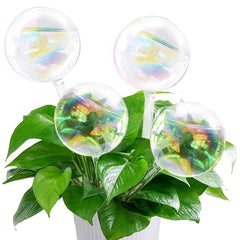Pynqdfu 4 PCS plant watering globes front view