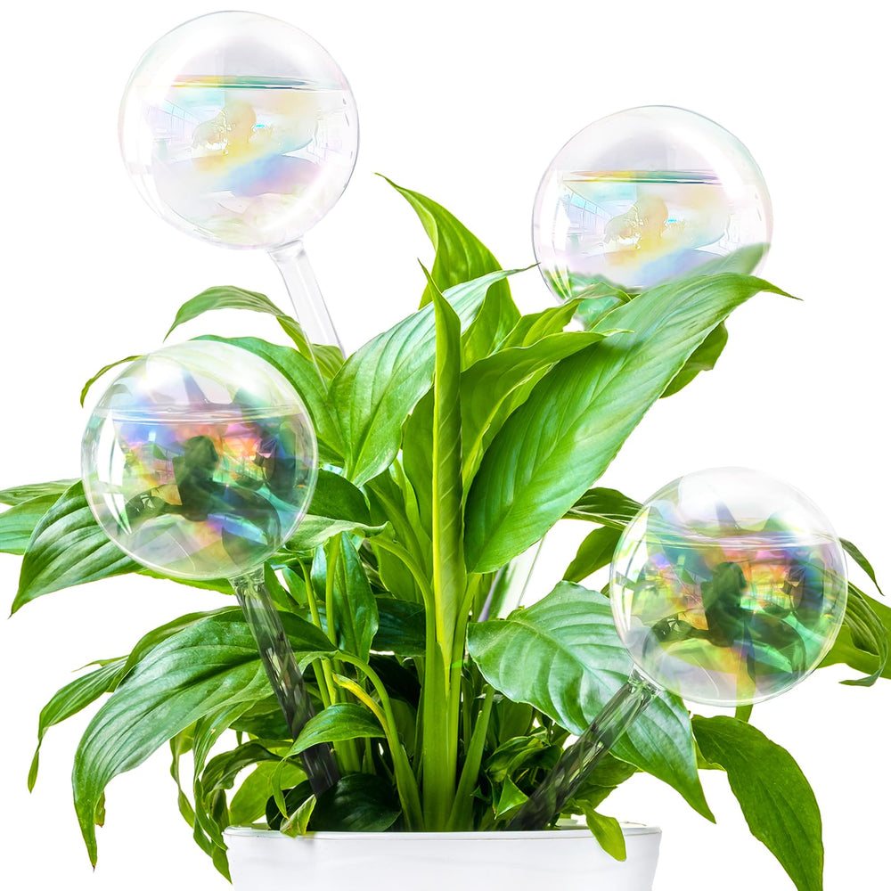 Pynqdfu 4 pcs plant watering globes with rainbow gradient design