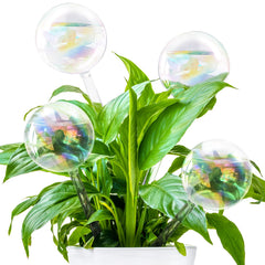 Pynqdfu 4 pcs plant watering globes with rainbow gradient design