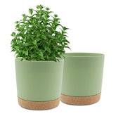 QCQHDU 10 inch green plant pot front view with removable tray