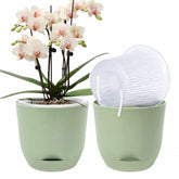 QCQHDU 5.7 Inch Orchid Pot green color front view