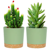QCQHDU 5 inch green plant pot front view with saucer