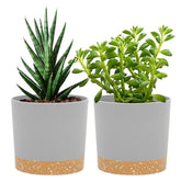 QCQHDU 5 inch light grey plant pot with saucer front view