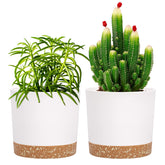 QCQHDU 5 inch plant pot white model front view with saucer