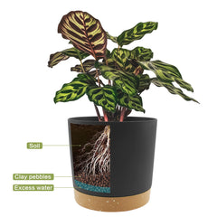 QCQHDU 6.5 inch plant pot and saucer set