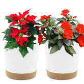 QCQHDU 6.5 inch white planter pot front view with saucer
