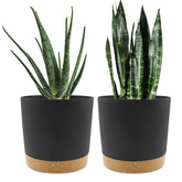 QCQHDU 8-inch dark grey planter pot front view with saucer