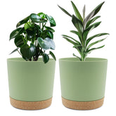 QCQHDU 8-inch green plant pot front view with saucer