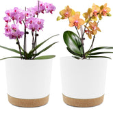 QCQHDU 8 inch plant pot front view with white matte finish
