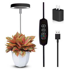 Qicodu Grow Light for indoor plants with adjustable height and auto timer