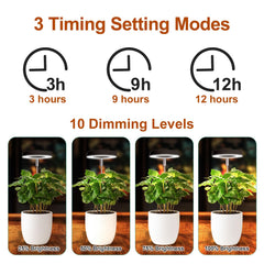 Qicodu Grow Light in use over small potted plants